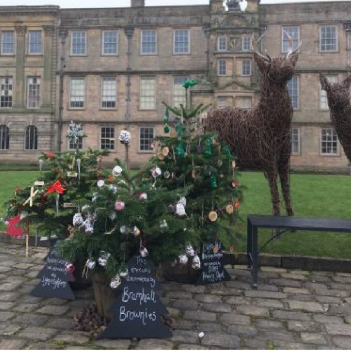 Disley christmas light switch on 2025